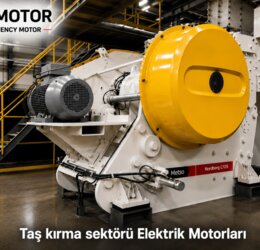 Taş Kırma Eleme Tesisi Motorları