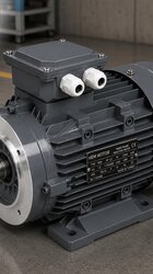 B5 Flanşlı Elektrik Motorları - B5 Montajlı Elektrik Motorları