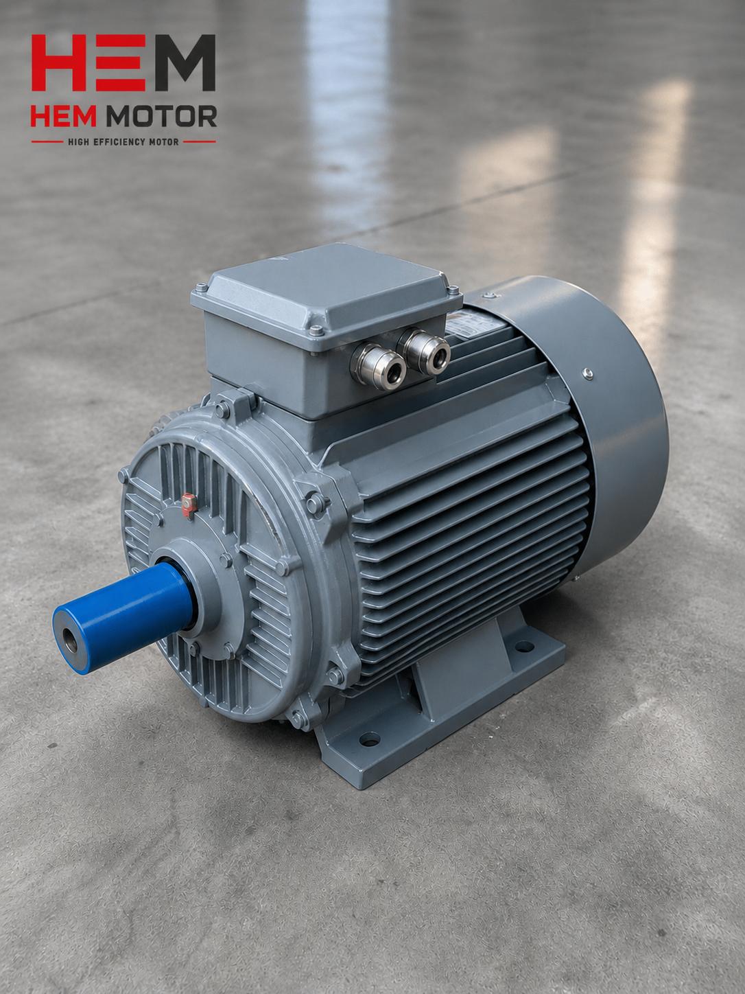 Electric motor with C3 bearing in a hot process and VFD application