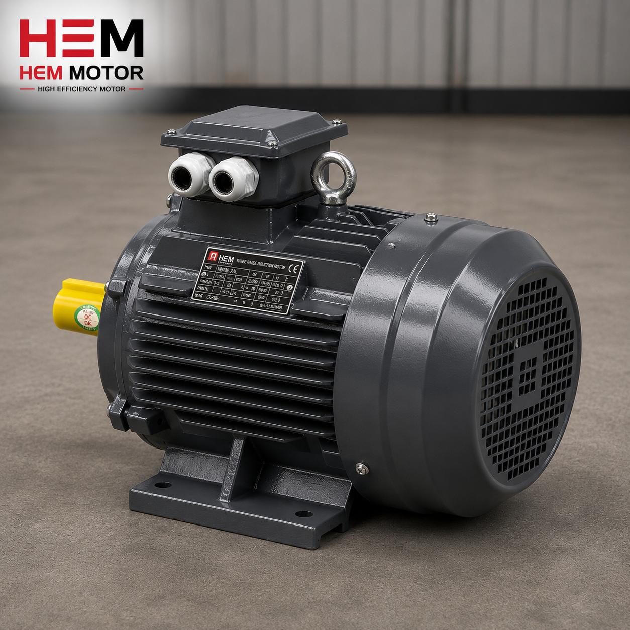 IE3 motor quote evaluation comparing lead time stock and warranty
