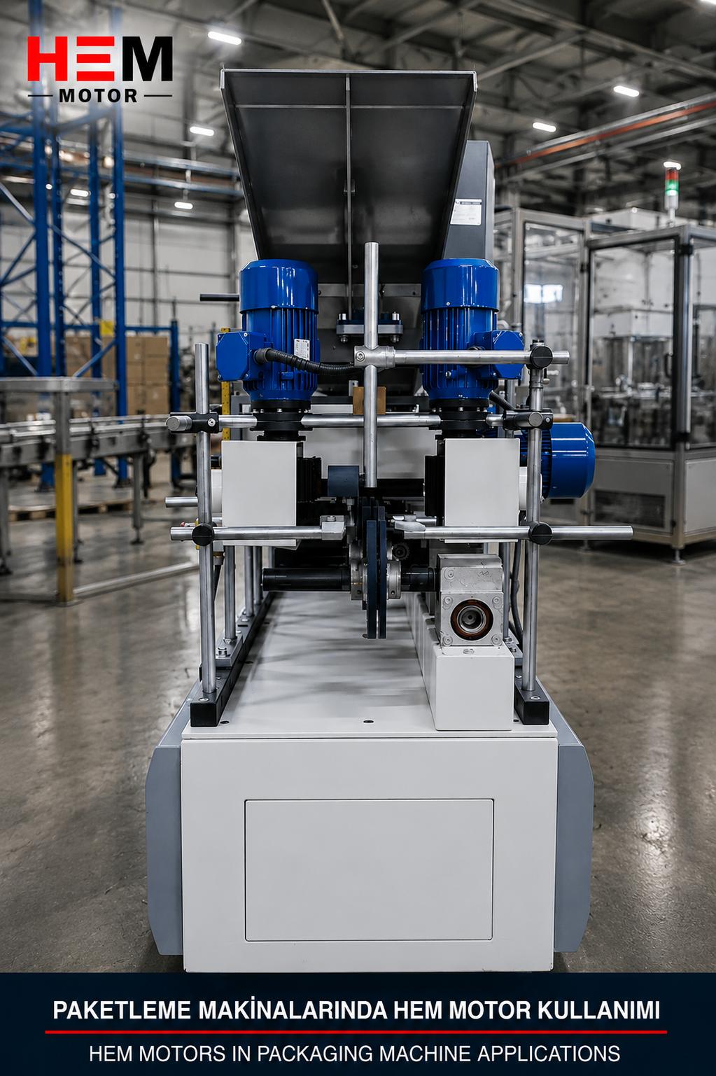 Electric motors driving the printing cylinder and winder unit in a printing press plant